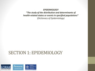 Core disciplines in agriculture-nutrition-health research: Nutrition