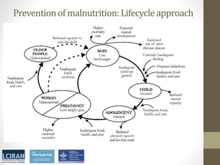 Core disciplines in agriculture-nutrition-health research: Nutrition