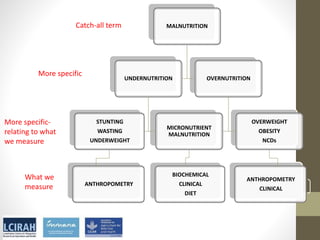Core disciplines in agriculture-nutrition-health research: Nutrition