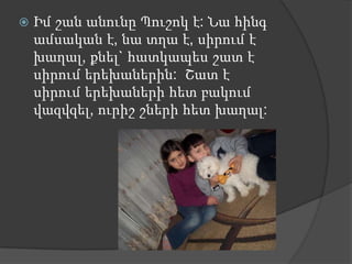    Իմ շան անունը Պուշոկ է: Նա հինգ
    ամսական է, նա տղա է, սիրում է
    խաղալ, քնել` հատկապես շատ է
    սիրում երեխաներին: Շատ է
    սիրում երեխաների հետ բակում
    վազվզել, ուրիշ շների հետ խաղալ:
 