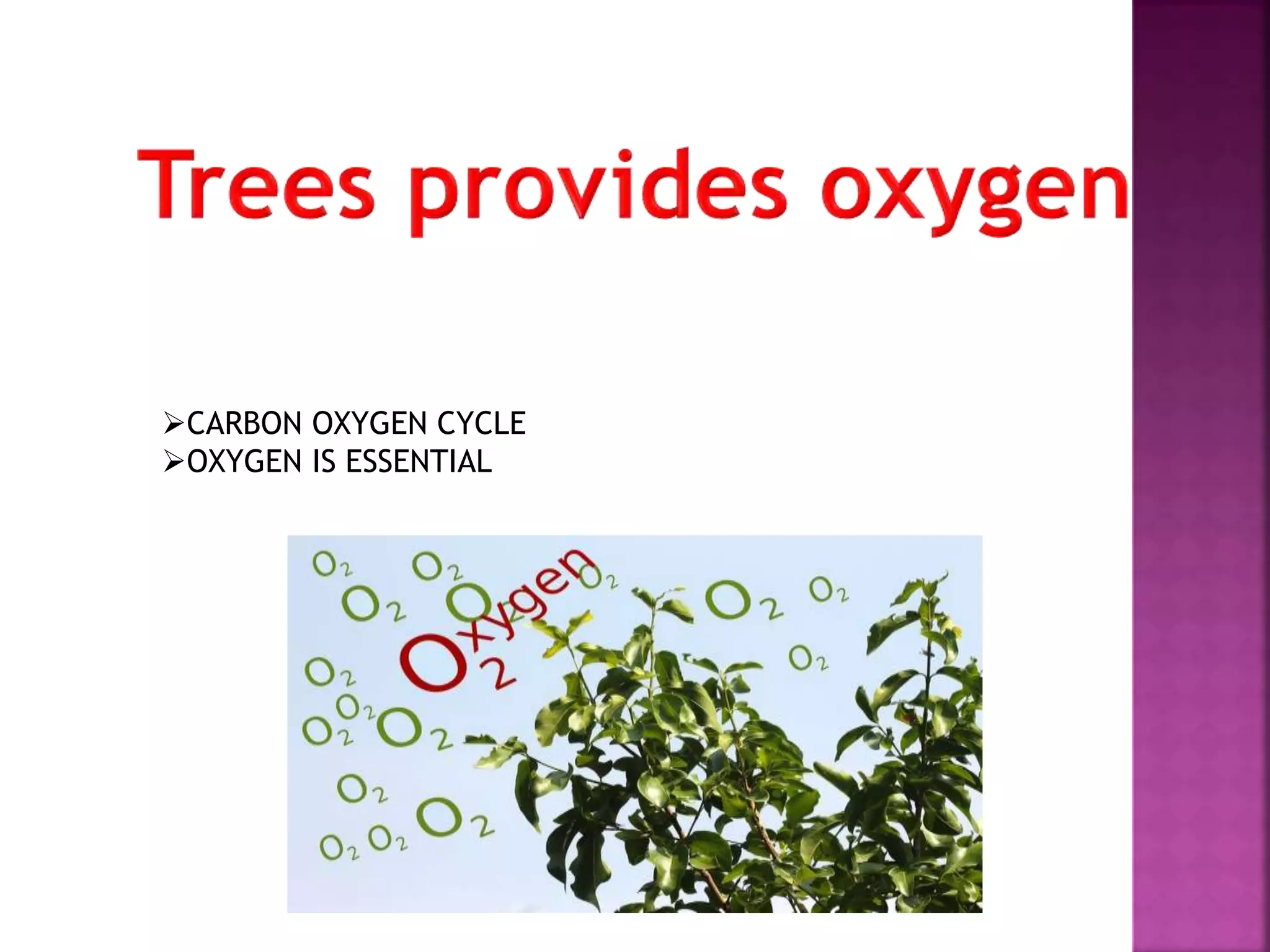 CARBON OXYGEN CYCLE
OXYGEN IS ESSENTIAL
 
