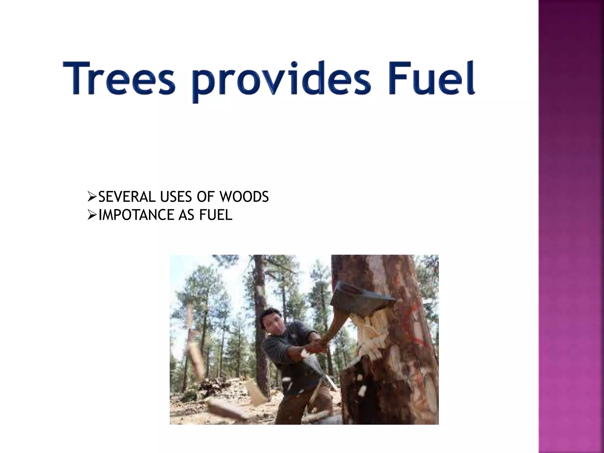 SEVERAL USES OF WOODS
IMPOTANCE AS FUEL
 