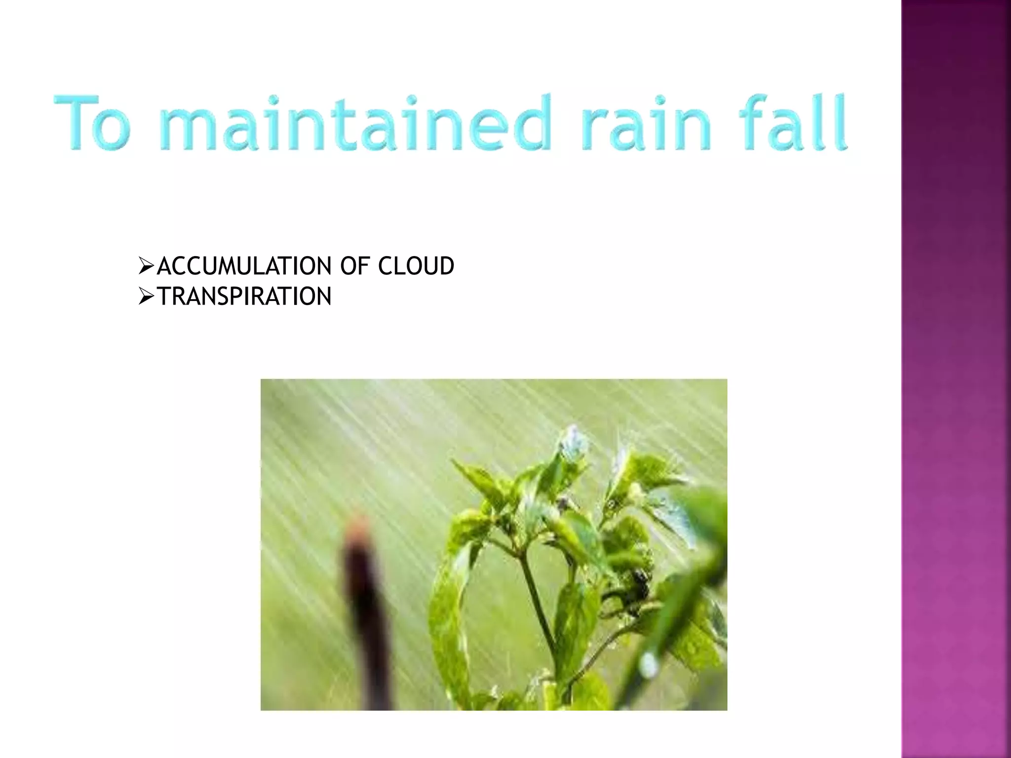ACCUMULATION OF CLOUD
TRANSPIRATION
 