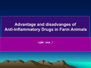 ‫ا‬
.
‫عطيه‬ ‫حامد‬
Advantage and disadvanges of
Anti-Inflammatory Drugs in Farm Animals
 