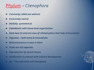 Phylum – Ctenophora


Commonly called sea walnuts



Exclusively marine



Radially symmetrical



Diploblastic with tissue level organization



Body bear & external rows of ciliated plates that help in locomotion



Digestion – both extra & intracellular



Bioluminescence is seen in them



Sexes are not separate



Reproduction by sexual means



Fertilization is external with indirect development



Eg – Pleurobrachia and Ctenoplana.

 