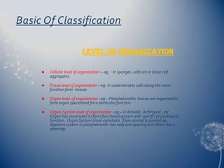 Basic Of Classification
Level of organization


Cellular level of organisation :– eg In sponges ,cells are in loose cell
aggregates



Tissue level of organization :–eg- In coelenterates cells doing the same
function form tissues



Organ level of organization –eg – Platyhelminths tissues are organized to
form organ specialized for a particular function



Organ-System level of organization -:eg – in Annelid , Arthropod , etc .
Organ has associated to form functional system with specific physiological
function. Organ System show variations from animal to animal eg :digestive system in platyhelminth has only one opening but others has 2
openings

 