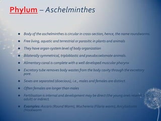 Phylum – Aschelminthes


Body of the aschelminthes is circular in cross-section, hence, the name roundworms.



Free living, aquatic and terrestrial or parasitic in plants and animals



They have organ-system level of body organization



Bilaterally symmetrical, triploblastic and pseudocoelomate animals.



Alimentary canal is complete with a well developed muscular pharynx



Excretory tube removes body wastes from the body cavity through the excretory
pore.



Sexes are separated (dioecious), i.e., males and females are distinct.



Often females are longer than males



Fertilisation is internal and development may be direct (the young ones resemble the
adult) or indirect.



Examples: Ascaris (Round Worm), Wuchereria (Filaria worm), Ancylostoma
(Hookworm

 