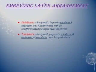 Embryonic layer Arrangement



Diploblastic :– Body wall 2 layered –ectoderm &
endoderm eg :- Coelenterates with an
undifferentiated mesoglea layer in between



Triploblastic: – body wall 3 layered – ectoderm &
endoderm & mesoderm : eg – Platyhelminths

 