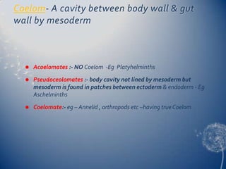 Coelom- A cavity between body wall & gut
wall by mesoderm



Acoelomates :- NO Coelom -Eg Platyhelminths



Pseudoceolomates :- body cavity not lined by mesoderm but
mesoderm is found in patches between ectoderm & endoderm - Eg
Aschelminths



Coelomate:- eg – Annelid , arthropods etc –having true Coelom

 
