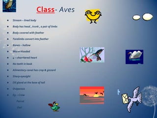 Class- Aves


Stream – lined body



Body has head , trunk , a pair of limbs



Body covered with feather



Forelimbs convert into feather



Bones – hollow



Warm blooded



4 – chambered heart



No teeth in beak



Alimentary canal has crop & gizzard



Sharp eyesight



Oil gland at the base of tail



Oviparous



Eg :- Crow
Parrot
Owl

 