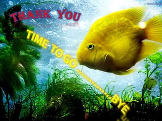 Aniaml kingdom class XI