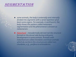 Segmentation


some animals, the body is externally and internally
divided into segments with a serial repetition of at
least some organs. For example, in earthworm, the
body shows this pattern called metameric
segmentation and the phenomenon is known as
metamerism.



Notochord – mesodermally derived rod-like structure
formed on the dorsal side during embryonic
development in some animals. Animals with
notochord are called chordates and those animals
which do not form this structure are called nonchordates, e.g., porifera to echinoderms.

 