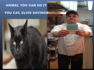 ANIBAL YOU CAN DO IT
YOU CAT, ELVIS SAYINGS

 