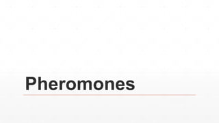 Pheromones
 