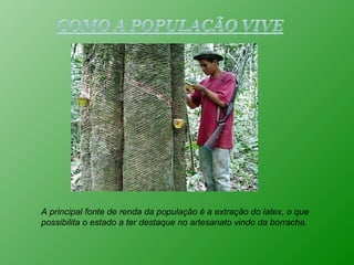 A principal fonte de renda da população é a extração do latex, o que possibilita o estado a ter destaque no artesanato vindo da borracha. 