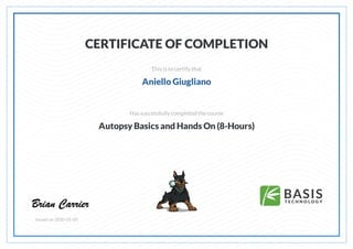 CERTIFICATE OF COMPLETION
This is to certify that
Aniello Giugliano
Has successfully completed thecourse
Autopsy Basics and Hands On (8-Hours)
Issued on 2020-05-05
 