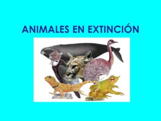 ANIMALES EN EXTINCIÓN 