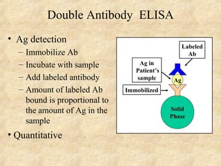 Double Antibody ELISA 
• Ag detection 
– Immobilize Ab 
– Incubate with sample 
– Add labeled antibody 
– Amount of labeled Ab 
bound is proportional to 
the amount of Ag in the 
sample 
• Quantitative 
Ag 
Solid 
Phase 
Ag in 
Patient’s 
sample 
Immobilized 
Labeled 
Ab 
