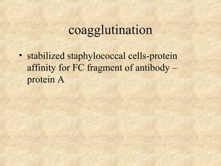 coagglutination 
• stabilized staphylococcal cells-protein 
affinity for FC fragment of antibody – 
protein A 
 