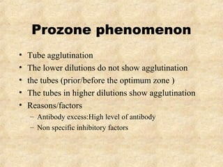 Prozone phenomenon 
• Tube agglutination 
• The lower dilutions do not show agglutination 
• the tubes (prior/before the optimum zone ) 
• The tubes in higher dilutions show agglutination 
• Reasons/factors 
– Antibody excess:High level of antibody 
– Non specific inhibitory factors 
 