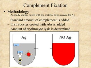 Complement Fixation 
• Methodology 
– Antibody known mixed with test material to be assayed for Ag 
– Standard amount of complement is added 
– Erythrocytes coated with Abs is added 
– Amount of erythrocyte lysis is determined 
Ag NO Ag 
Ag 
Ag 
 