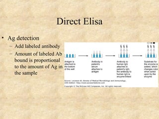 Direct Elisa 
• Ag detection 
– Add labeled antibody 
– Amount of labeled Ab 
bound is proportional 
to the amount of Ag in 
the sample 
 