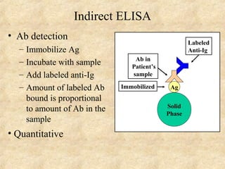 Indirect ELISA 
• Ab detection 
– Immobilize Ag 
– Incubate with sample 
– Add labeled anti-Ig 
– Amount of labeled Ab 
bound is proportional 
to amount of Ab in the 
sample 
• Quantitative 
Immobilized Ag 
Solid 
Phase 
Ab in 
Patient’s 
sample 
Labeled 
Anti-Ig 
 