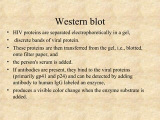Western blot 
• HIV proteins are separated electrophoretically in a gel, 
• discrete bands of viral protein. 
• These proteins are then transferred from the gel, i.e., blotted, 
onto filter paper, and 
• the person's serum is added. 
• If antibodies are present, they bind to the viral proteins 
(primarily gp41 and p24) and can be detected by adding 
antibody to human IgG labeled an enzyme, 
• produces a visible color change when the enzyme substrate is 
added. 
 