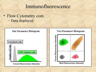 Immunofluorescence 
• Flow Cytometry cont. 
– Data displayed 
One Parameter Histogram 
Unstained cells 
Green Fluorescence Intensity 
Number of Cells 
FITC-labeled cells 
Red Fluorescence Intensity 
Green Fluorescence Intensity 
Two Parameter Histogram 
 