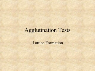 Agglutination Tests 
Lattice Formation 
 