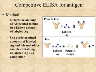 Competitive ELISA for antigen 
• Method 
– Determine amount 
of Ab needed to bind 
to a known amount 
of labeled Ag 
+  
Prior to Test 
Labeled 
Ag 
+  
Test 
+ 
Patient’s 
sample 
Labeled 
Ag 
+ 
– Use predetermined 
amounts of labeled 
Ag and Ab and add a 
sample containing 
unlabeled Ag as a 
competitor 
 