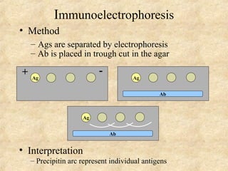 Immunoelectrophoresis 
• Method 
– Ags are separated by electrophoresis 
– Ab is placed in trough cut in the agar 
+ - 
Ag 
• Interpretation 
Ag 
Ab 
Ag 
Ab 
– Precipitin arc represent individual antigens 
 