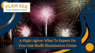 A Night Aglow: What To Expect On
Your Oak Bluffs Illumination Cruise
 