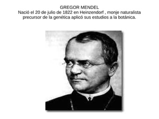 GREGOR MENDEL
Nació el 20 de julio de 1822 en Heinzendorf , monje naturalista
precursor de la genética aplicó sus estudios a la botánica.
 
