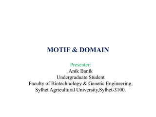 MOTIF & DOMAIN
Presenter:
Anik Banik
Undergraduate Student
Faculty of Biotechnology & Genetic Engineering,
Sylhet Agricultural University,Sylhet-3100.
 