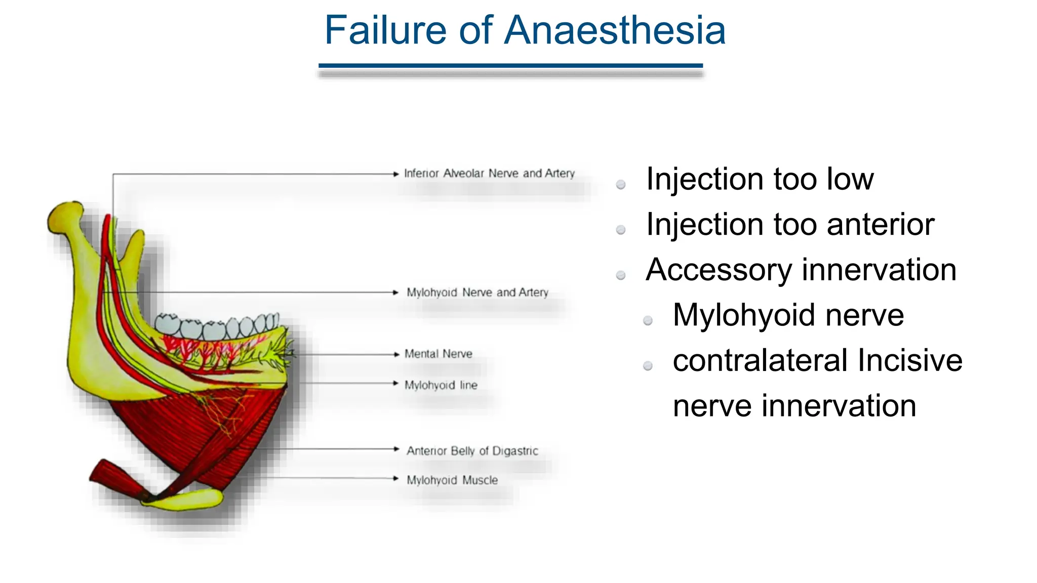 Inferior Alveolar Nerve Block Anesthetic Technique PPT