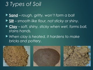 3 Types of Soil
 Sand – rough, gritty, won’t form a ball
 Silt – smooth like flour, not sticky or shiny.
 Clay – soft, shiny, sticky when wet, forms ball,
stains hands.
 When clay is heated, it hardens to make
bricks and pottery.
 