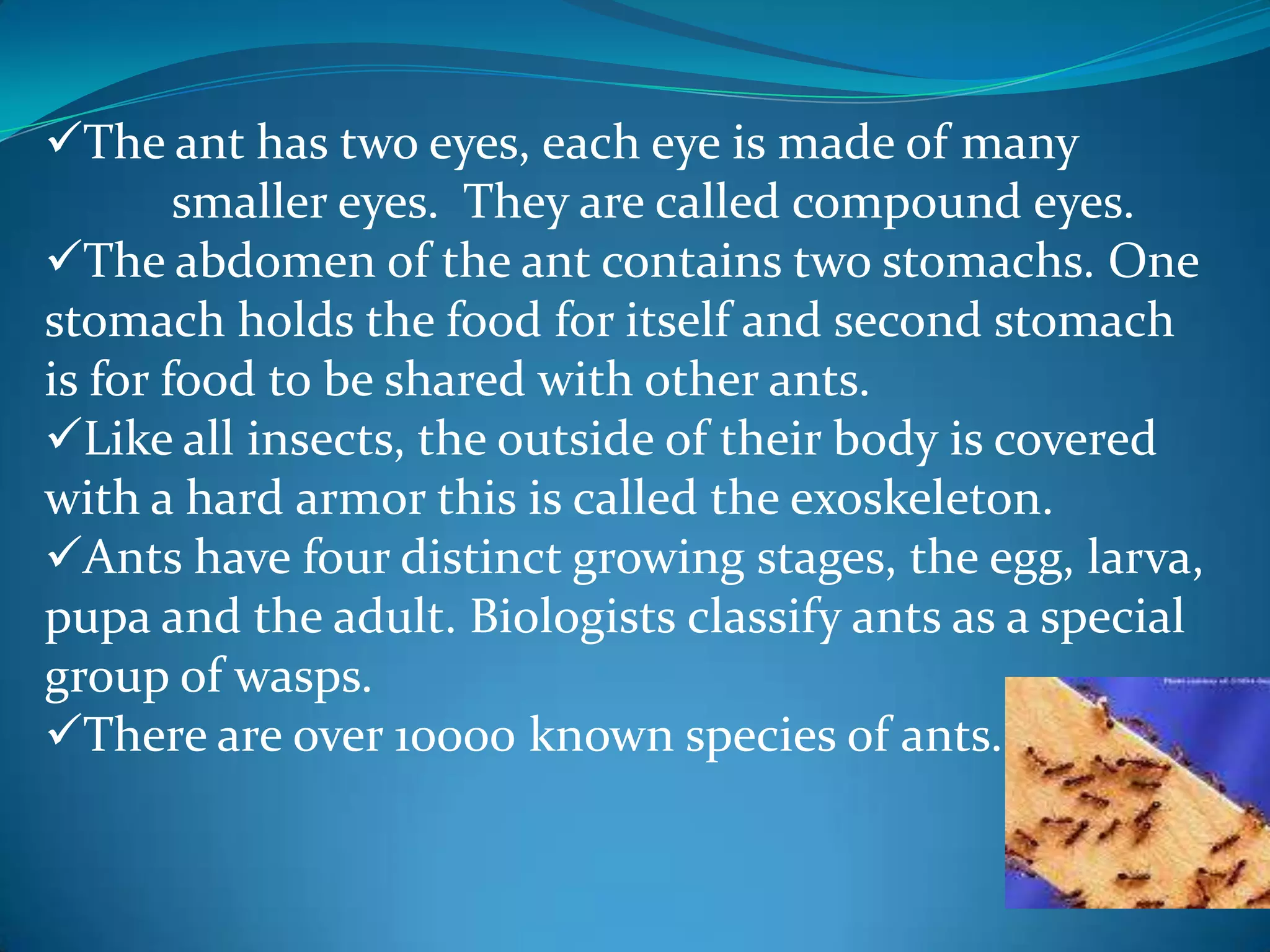 Ants...... | PPTX