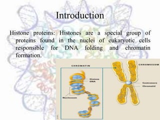 Histone Proteins and Genome Imprinting | PPTX
