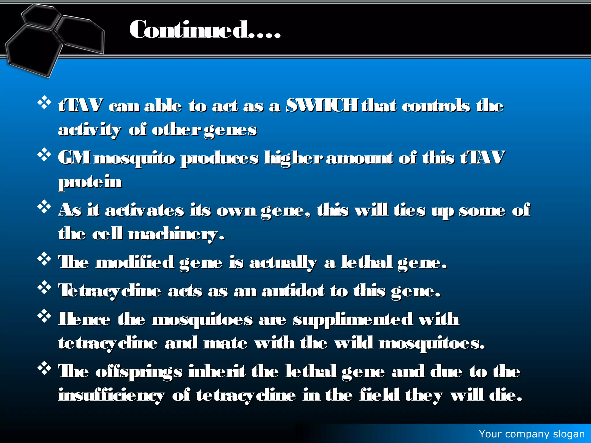 Your company slogan
Continued….
 tTAV can able to act as a SWITCHthat controls thetTAV can able to act as a SWITCHthat controls the
activity of othergenesactivity of othergenes
 GMmosquito produces higheramount of this tTAVGMmosquito produces higheramount of this tTAV
proteinprotein
 As it activates its own gene, this will ties up some ofAs it activates its own gene, this will ties up some of
the cell machinery.the cell machinery.
 The modified gene is actually a lethal gene.The modified gene is actually a lethal gene.
 Tetracycline acts as an antidot to this gene.Tetracycline acts as an antidot to this gene.
 Hence the mosquitoes are supplimented withHence the mosquitoes are supplimented with
tetracycline and mate with the wild mosquitoes.tetracycline and mate with the wild mosquitoes.
 The offsprings inherit the lethal gene and due to theThe offsprings inherit the lethal gene and due to the
insufficiency of tetracycline in the field they will die.insufficiency of tetracycline in the field they will die.
 