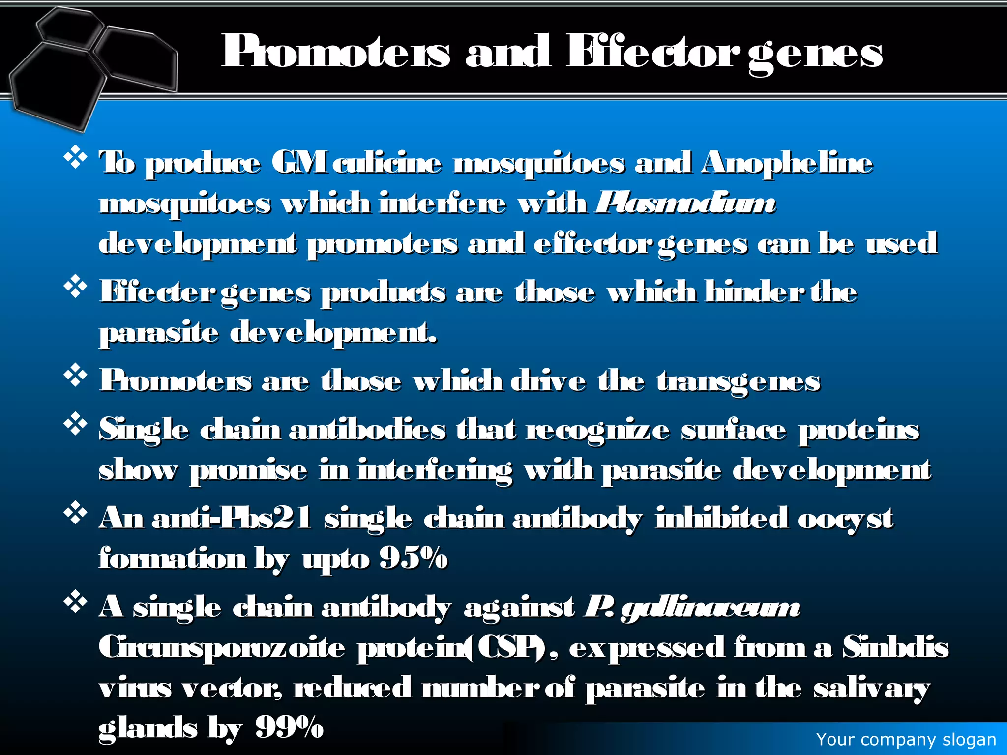 Your company slogan
Promoters and Effectorgenes
 To produce GMculicine mosquitoes and AnophelineTo produce GMculicine mosquitoes and Anopheline
mosquitoes which interfere withmosquitoes which interfere with PlasmodiumPlasmodium
development promoters and effectorgenes can be useddevelopment promoters and effectorgenes can be used
 Effectergenes products are those which hindertheEffectergenes products are those which hinderthe
parasite development.parasite development.
 Promoters are those which drive the transgenesPromoters are those which drive the transgenes
 Single chain antibodies that recognize surface proteinsSingle chain antibodies that recognize surface proteins
show promise in interfering with parasite developmentshow promise in interfering with parasite development
 An anti-Pbs21 single chain antibody inhibited oocystAn anti-Pbs21 single chain antibody inhibited oocyst
formation by upto 95%formation by upto 95%
 A single chain antibody againstA single chain antibody against P. gallinaceumP. gallinaceum
Circunsporozoite protein(CSP), expressed from a SinbdisCircunsporozoite protein(CSP), expressed from a Sinbdis
virus vector, reduced numberof parasite in the salivaryvirus vector, reduced numberof parasite in the salivary
glands by 99%glands by 99%
 