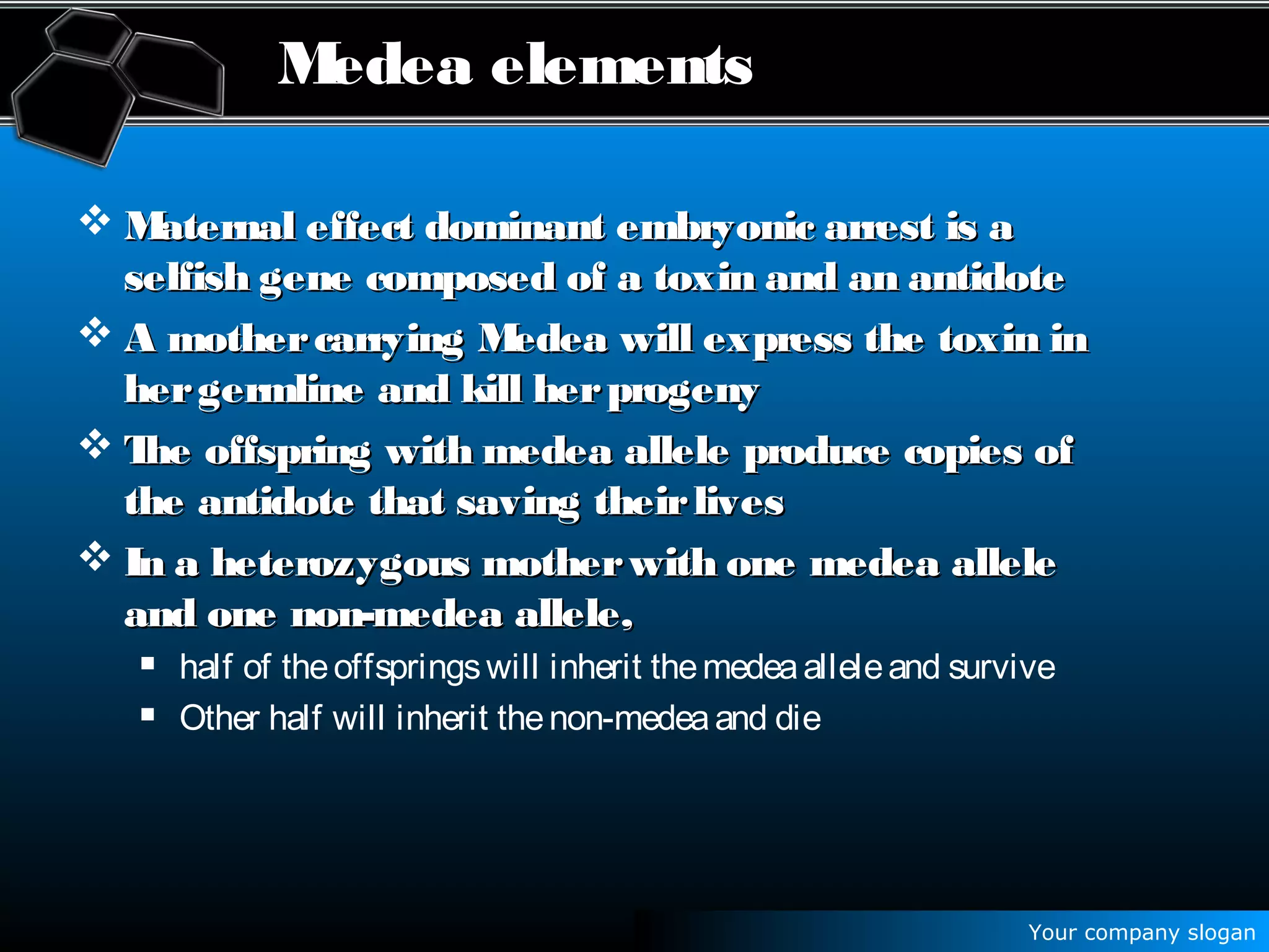 Your company slogan
Medea elements
 Maternal effect dominant embryonic arrest is aMaternal effect dominant embryonic arrest is a
selfish gene composed of a toxin and an antidoteselfish gene composed of a toxin and an antidote
 A mothercarrying Medea will express the toxin inA mothercarrying Medea will express the toxin in
hergermline and kill herprogenyhergermline and kill herprogeny
 The offspring with medea allele produce copies ofThe offspring with medea allele produce copies of
the antidote that saving theirlivesthe antidote that saving theirlives
 In a heterozygous motherwith one medea alleleIn a heterozygous motherwith one medea allele
and one non-medea allele,and one non-medea allele,
 half of theoffspringswill inherit themedeaalleleand survive
 Other half will inherit thenon-medeaand die
 