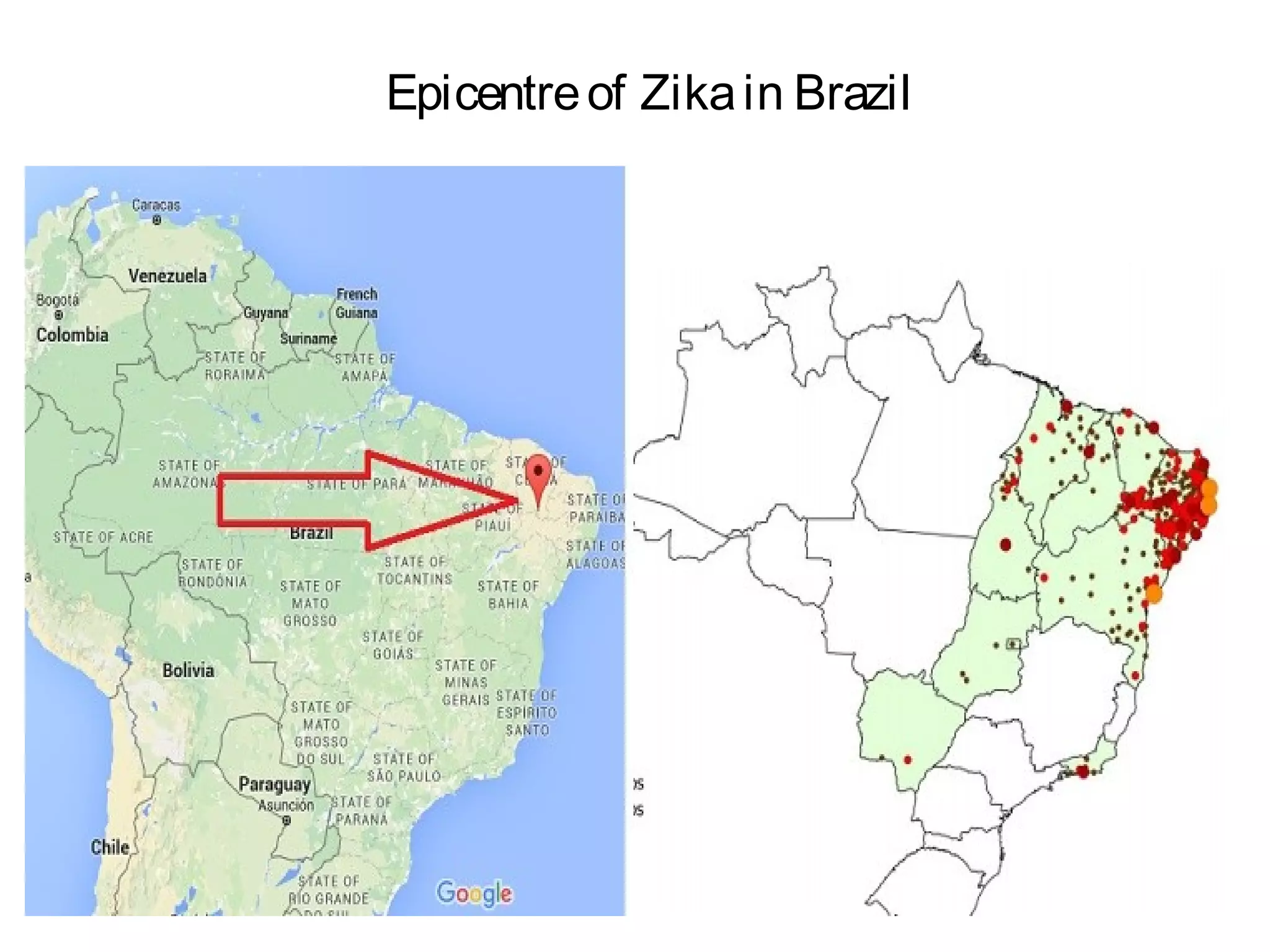 Epicentreof Zikain Brazil
 