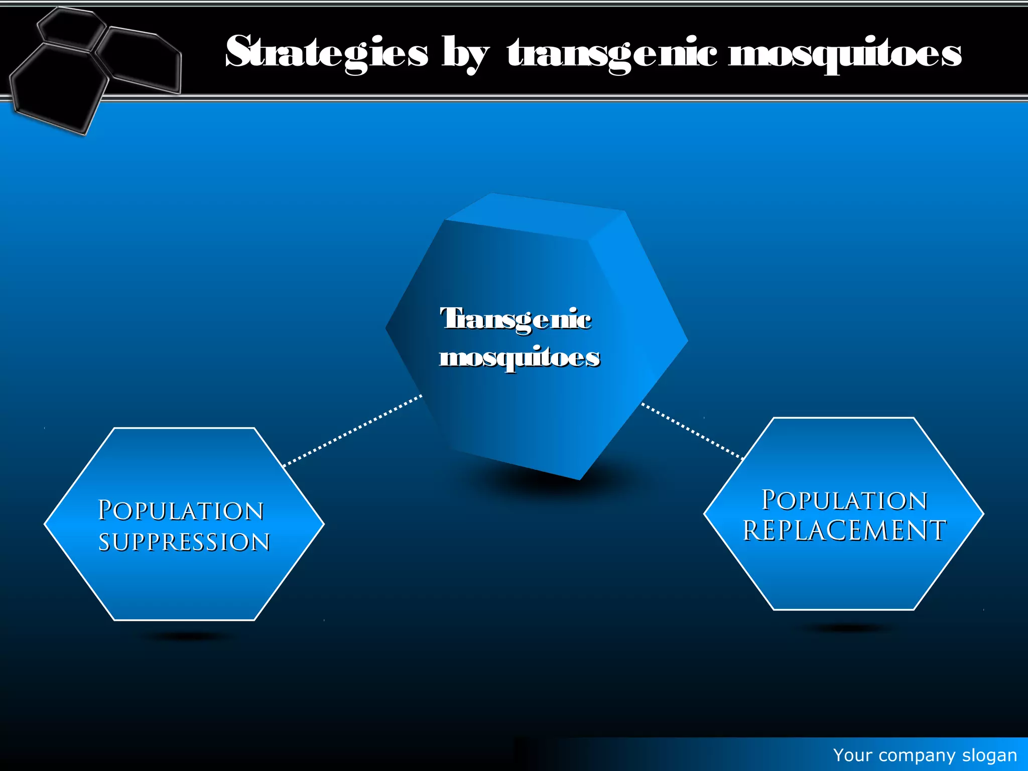 Your company slogan
Strategies by transgenic mosquitoes
PopulationPopulation
REPLACEMENTREPLACEMENT
PopulationPopulation
suppressionsuppression
TransgenicTransgenic
mosquitoesmosquitoes
 