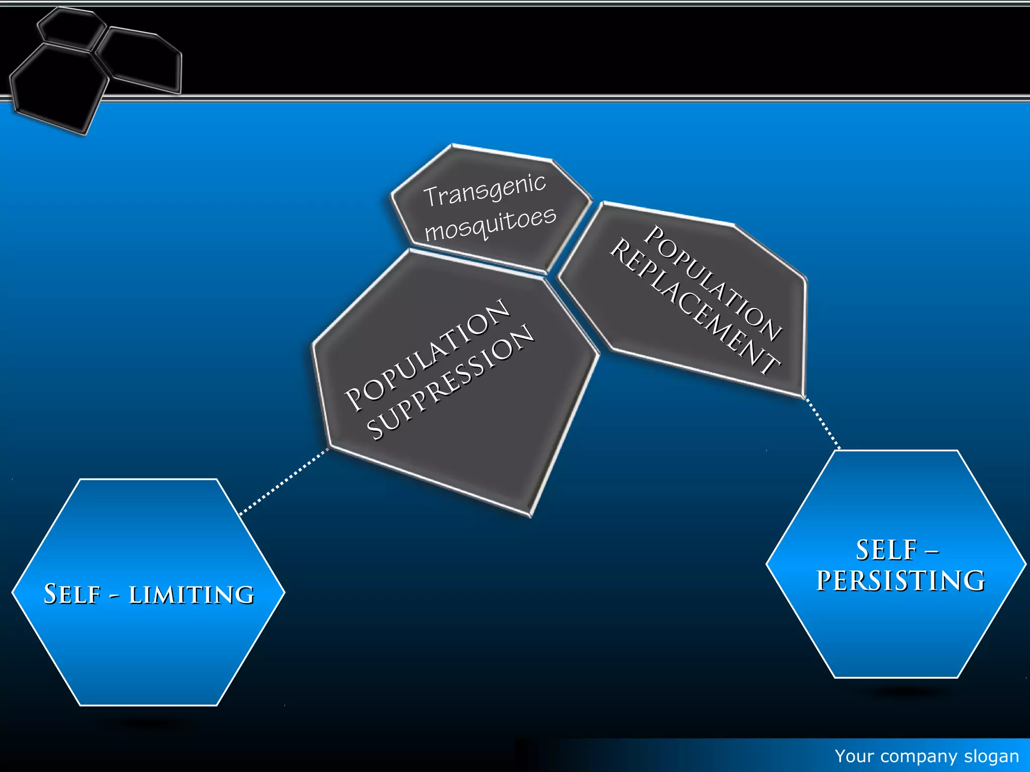 Your company slogan
SELF –SELF –
PERSISTINGPERSISTING
Self - limitingSelf - limiting
Transgenic
mosquitoes
Population
Population
suppression
suppression
Po
pulatio
n
Po
pulatio
n
REPLAC
EM
EN
T
REPLAC
EM
EN
T
 