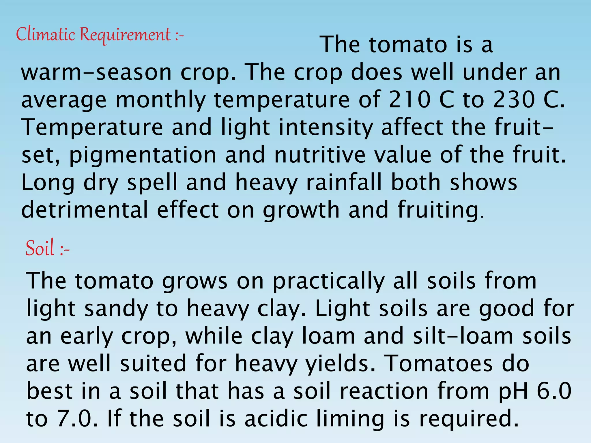 Climatic Requirement :-
The tomato is a
warm-season crop. The crop does well under an
average monthly temperature of 210 C to 230 C.
Temperature and light intensity affect the fruit-
set, pigmentation and nutritive value of the fruit.
Long dry spell and heavy rainfall both shows
detrimental effect on growth and fruiting.
Soil :-
The tomato grows on practically all soils from
light sandy to heavy clay. Light soils are good for
an early crop, while clay loam and silt-loam soils
are well suited for heavy yields. Tomatoes do
best in a soil that has a soil reaction from pH 6.0
to 7.0. If the soil is acidic liming is required.
 