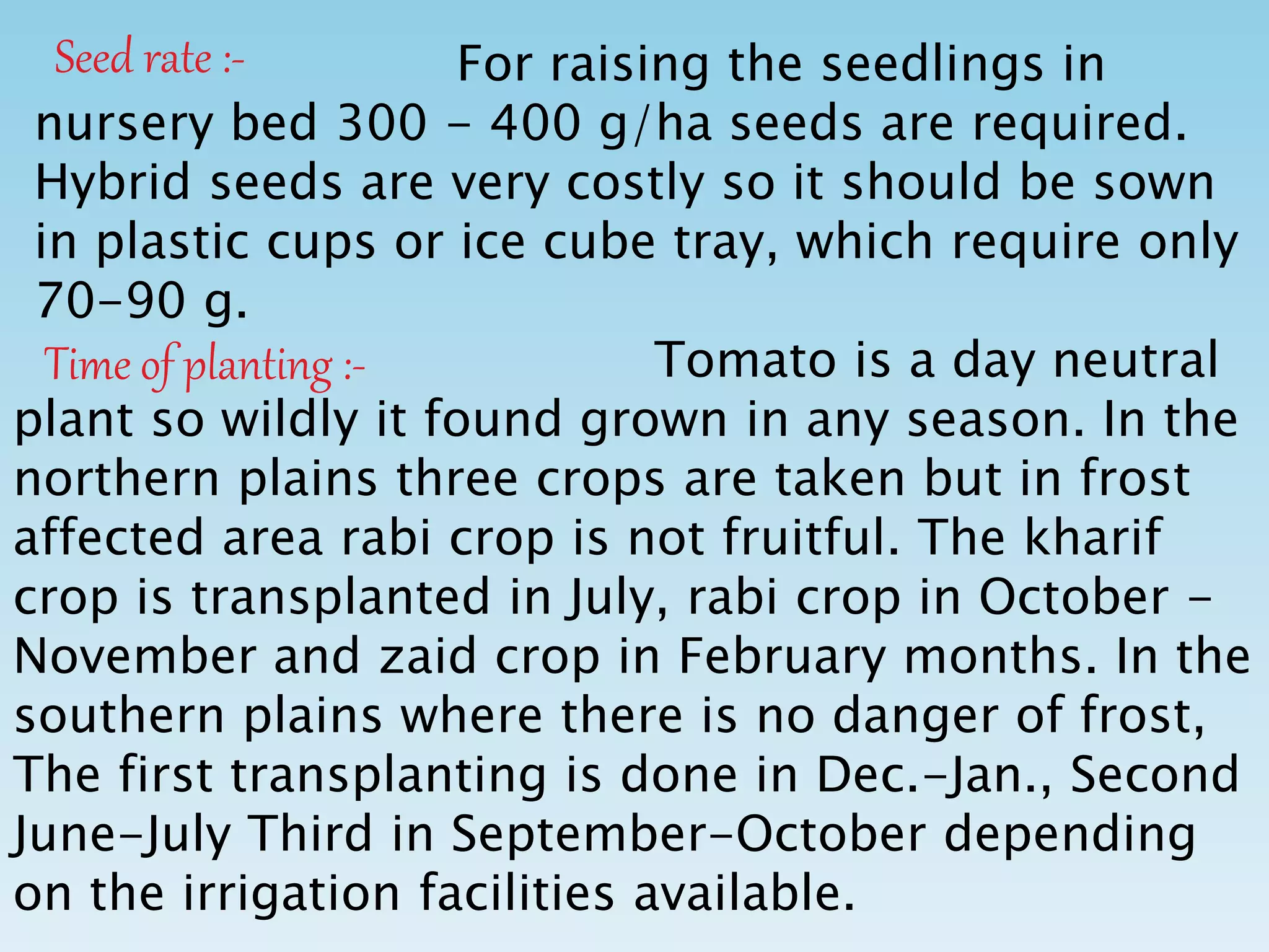 Seed rate :- For raising the seedlings in
nursery bed 300 - 400 g/ha seeds are required.
Hybrid seeds are very costly so it should be sown
in plastic cups or ice cube tray, which require only
70-90 g.
Time of planting :- Tomato is a day neutral
plant so wildly it found grown in any season. In the
northern plains three crops are taken but in frost
affected area rabi crop is not fruitful. The kharif
crop is transplanted in July, rabi crop in October -
November and zaid crop in February months. In the
southern plains where there is no danger of frost,
The first transplanting is done in Dec.-Jan., Second
June-July Third in September-October depending
on the irrigation facilities available.
 