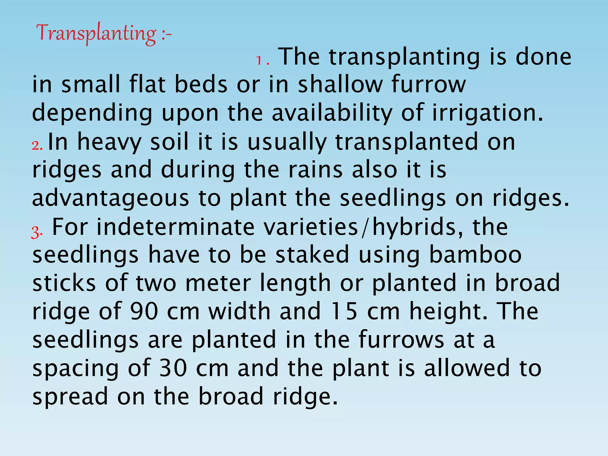 Transplanting :-
1 . The transplanting is done
in small flat beds or in shallow furrow
depending upon the availability of irrigation.
2. In heavy soil it is usually transplanted on
ridges and during the rains also it is
advantageous to plant the seedlings on ridges.
3. For indeterminate varieties/hybrids, the
seedlings have to be staked using bamboo
sticks of two meter length or planted in broad
ridge of 90 cm width and 15 cm height. The
seedlings are planted in the furrows at a
spacing of 30 cm and the plant is allowed to
spread on the broad ridge.
 
