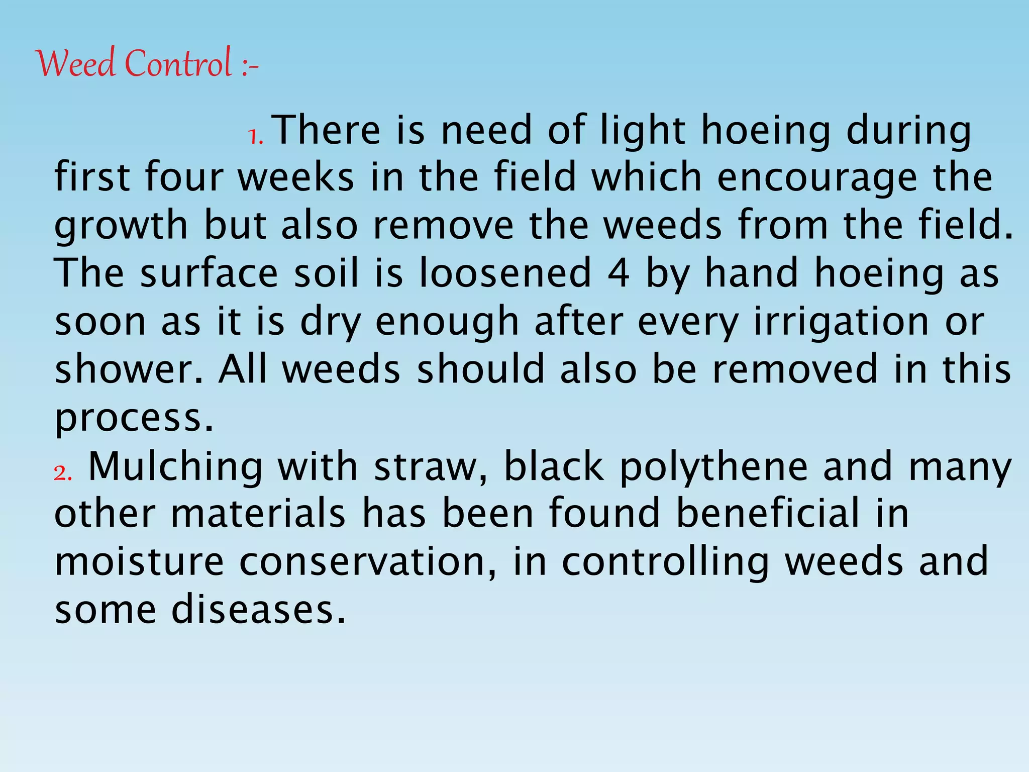 Weed Control :-
1. There is need of light hoeing during
first four weeks in the field which encourage the
growth but also remove the weeds from the field.
The surface soil is loosened 4 by hand hoeing as
soon as it is dry enough after every irrigation or
shower. All weeds should also be removed in this
process.
2. Mulching with straw, black polythene and many
other materials has been found beneficial in
moisture conservation, in controlling weeds and
some diseases.
 