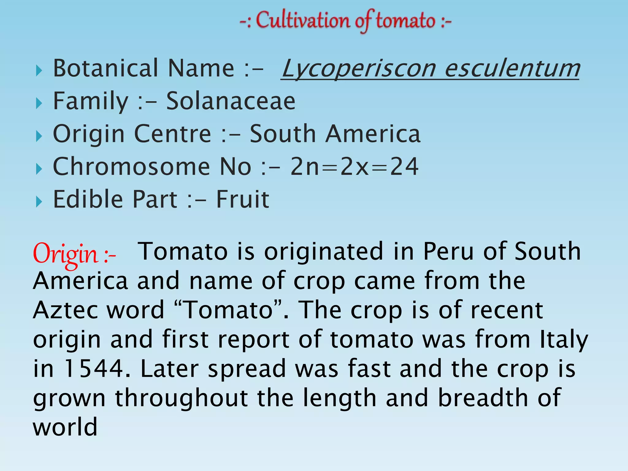  Botanical Name :- Lycoperiscon esculentum
 Family :- Solanaceae
 Origin Centre :- South America
 Chromosome No :- 2n=2x=24
 Edible Part :- Fruit
Origin:- Tomato is originated in Peru of South
America and name of crop came from the
Aztec word “Tomato”. The crop is of recent
origin and first report of tomato was from Italy
in 1544. Later spread was fast and the crop is
grown throughout the length and breadth of
world
 